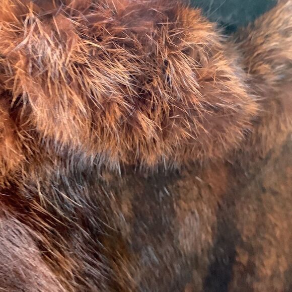 Luxury Vintage Real Fur 1940s Mink Cape/Vest/Stole Mint Condition Mob Wife Vibe - Picture 12 of 16